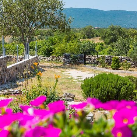 Holiday Home Vlatka Lozovac Ngoại thất bức ảnh